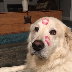 Meet your Posher, Ash